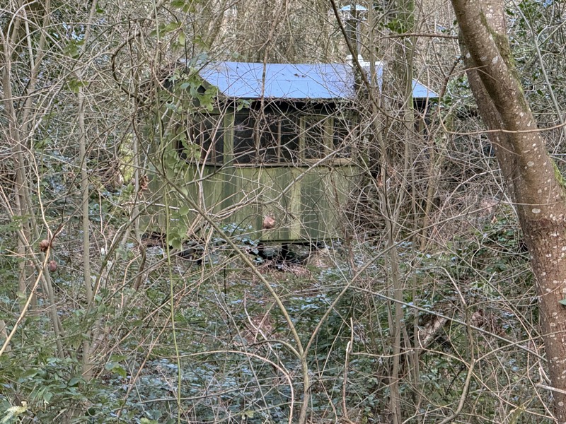 A timber cabin with a pitched roof, half hidden among bare winter branches in the woodland.